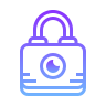 Enhanced Data Security in Web Design